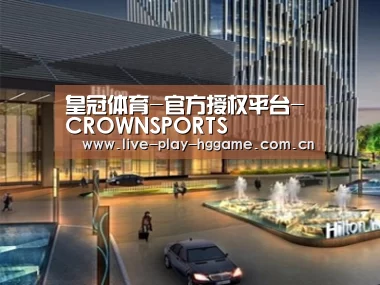 案例展示二